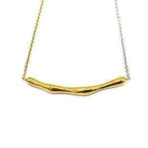 Ατσάλινο Δίχρωμο Κολιέ 40+5cm