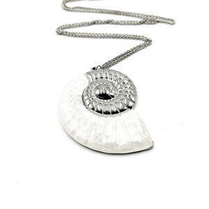 Ατσάλινο Κολιέ Κοχύλι σε Ασημί & Χρυσό